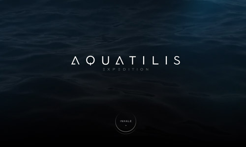 �W(w��ng)վ�OӋ �W(w��ng)վ�OӋ�p�R �W(w��ng)վ�����OӋ �W(w��ng)վ�����D