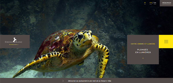 ��������Ʒ�W(w��ng)վ ����Ʒ�W(w��ng)վ �W(w��ng)վ�OӋ�p�R �W(w��ng)վ�OӋ